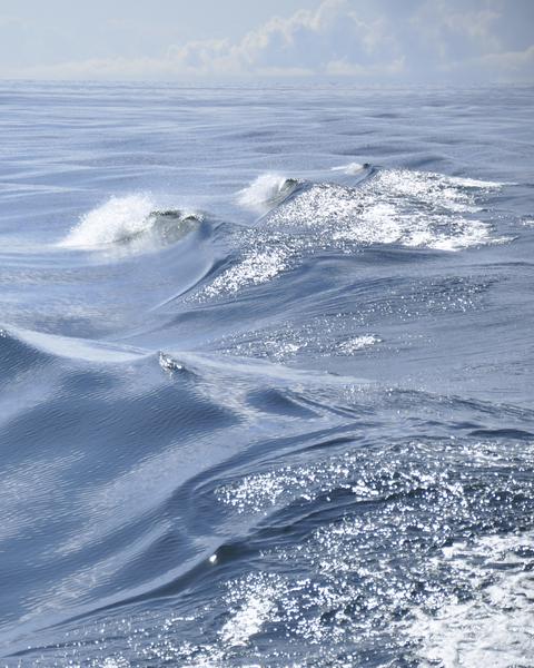 vågor på ett hav