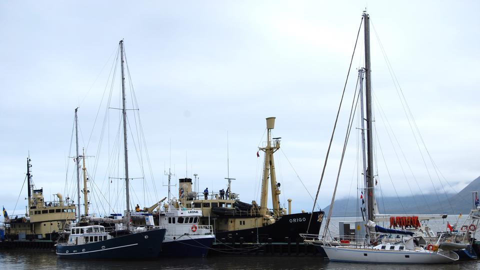 Segelbåtar och motorbåtar i varierande färger förtöjda vid hamnen på en mulet dag.